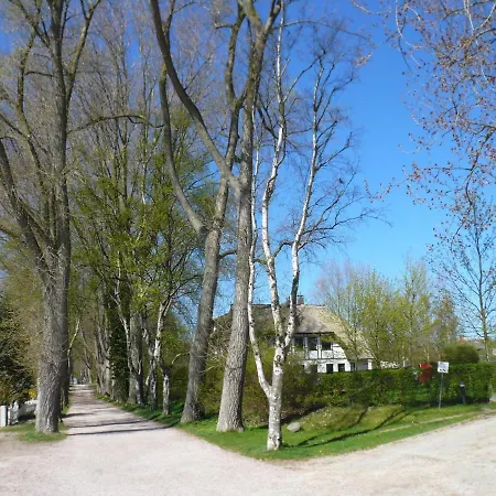 Apartment Ostseebad Ahrenshoop-haus Deichblick-ferienwohnung Corinth *