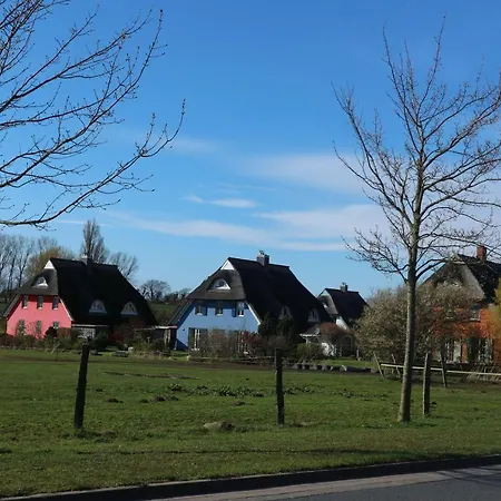 Ostseebad Ahrenshoop-haus Deichblick-ferienwohnung Corinth Ahrenshoop