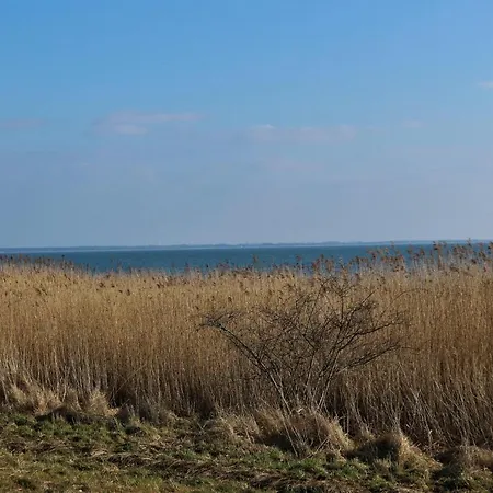 Apartment Ostseebad Ahrenshoop-haus Deichblick-ferienwohnung Corinth